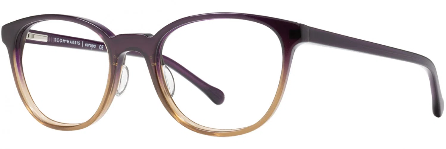Scott Harris SH530 Eyeglasses - view 12